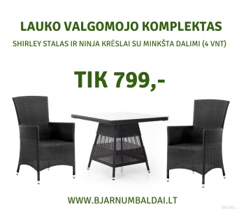 Lauko valgomojo komplektas SHIRLEY/NINJA